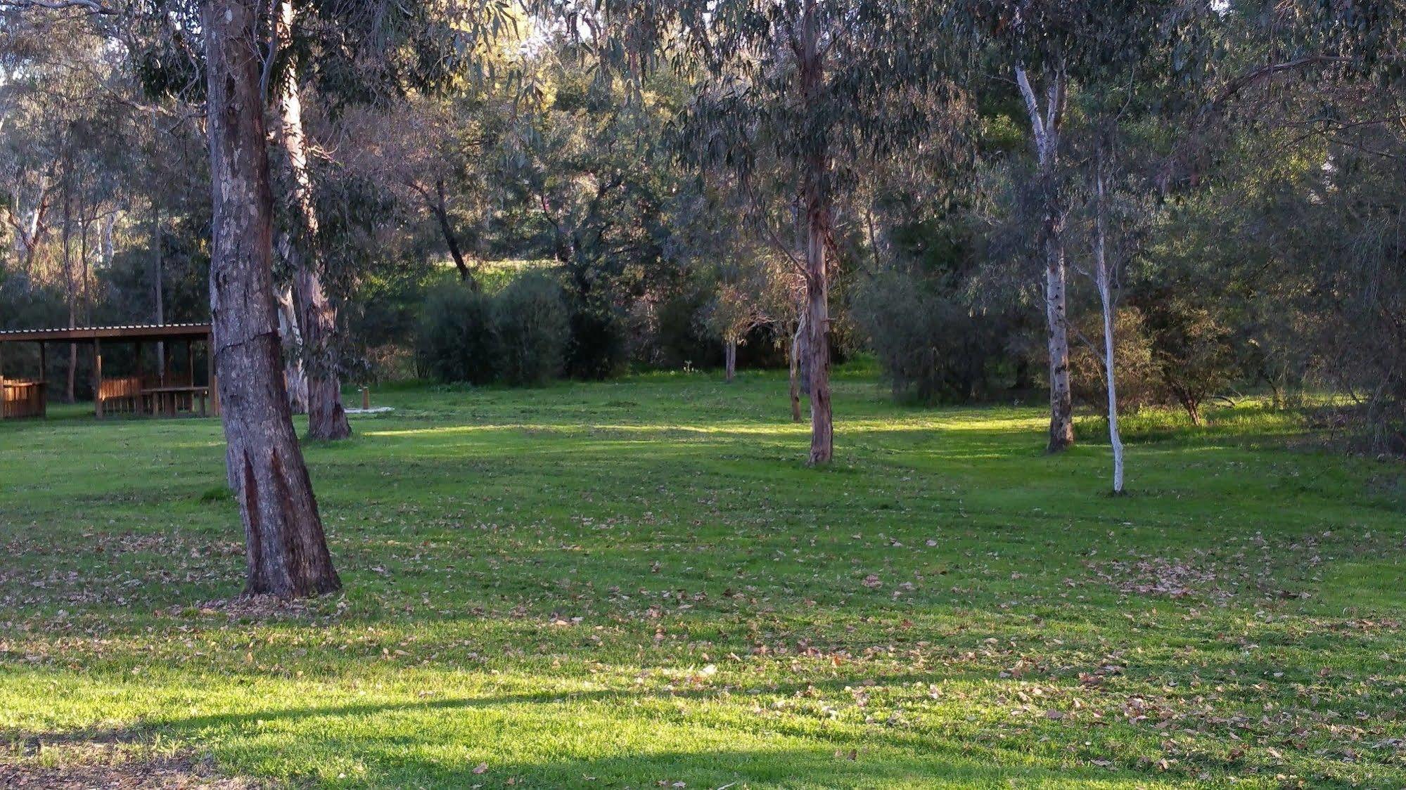 Yea Riverside Caravan Park Экстерьер фото