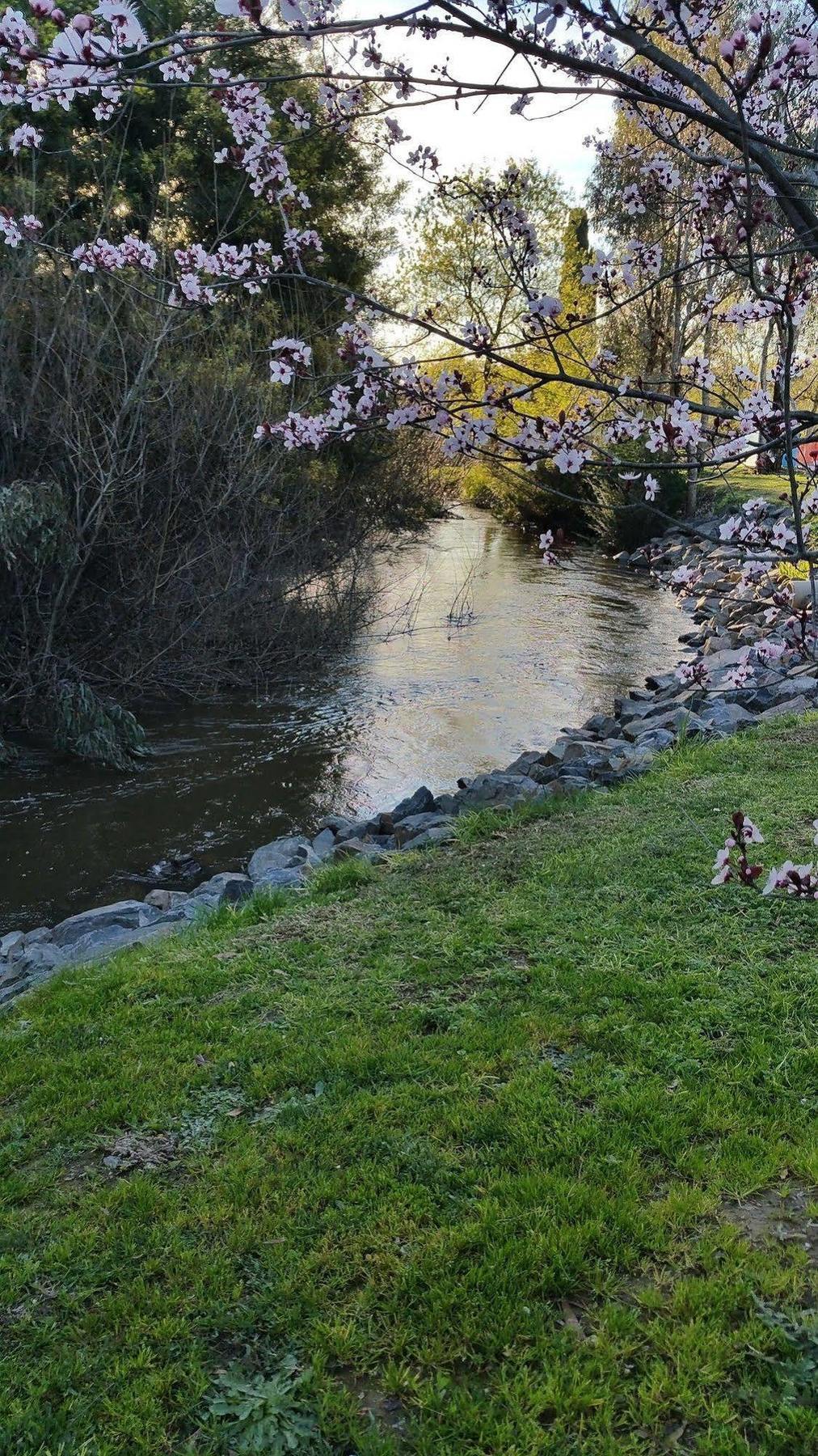 Yea Riverside Caravan Park Экстерьер фото